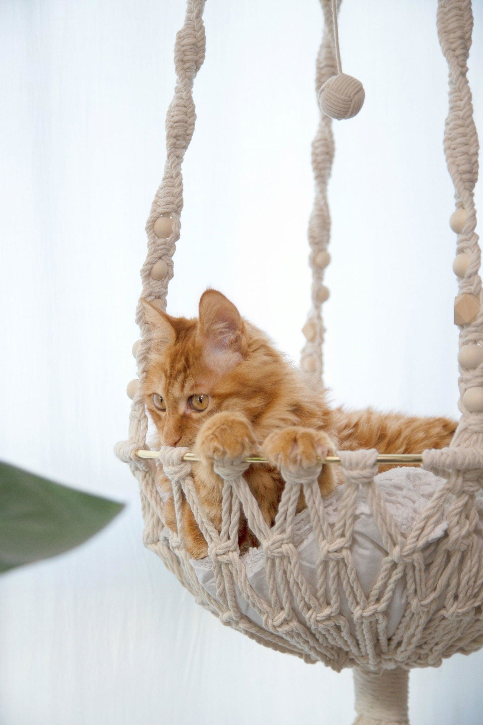 Paws & Dreams Hammock - Macrame cat hammock - KnittsKnotts